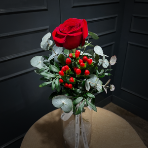 PLANTILLA FOTOS WEB1