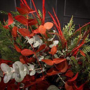 115ed62d 5d26 4be5 93c8 cc9f5d5fa546 scaled