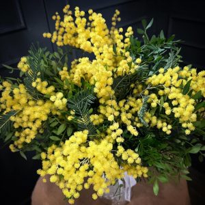 d77f2c29 f66d 4b02 b24c bd81cce532c6