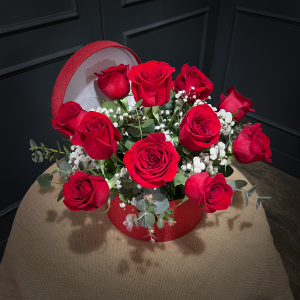 PLANTILLA FOTOS WEB2