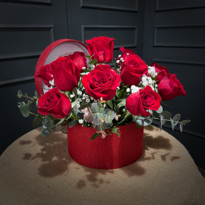 PLANTILLA FOTOS WEB3