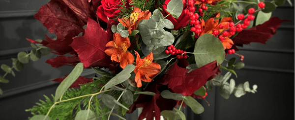 captura de pantalla 2024 11 21 a las 19 40 32