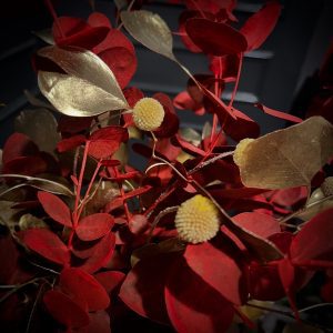 8b5a3c3a 041b 415e b140 04ed2b13bcc6