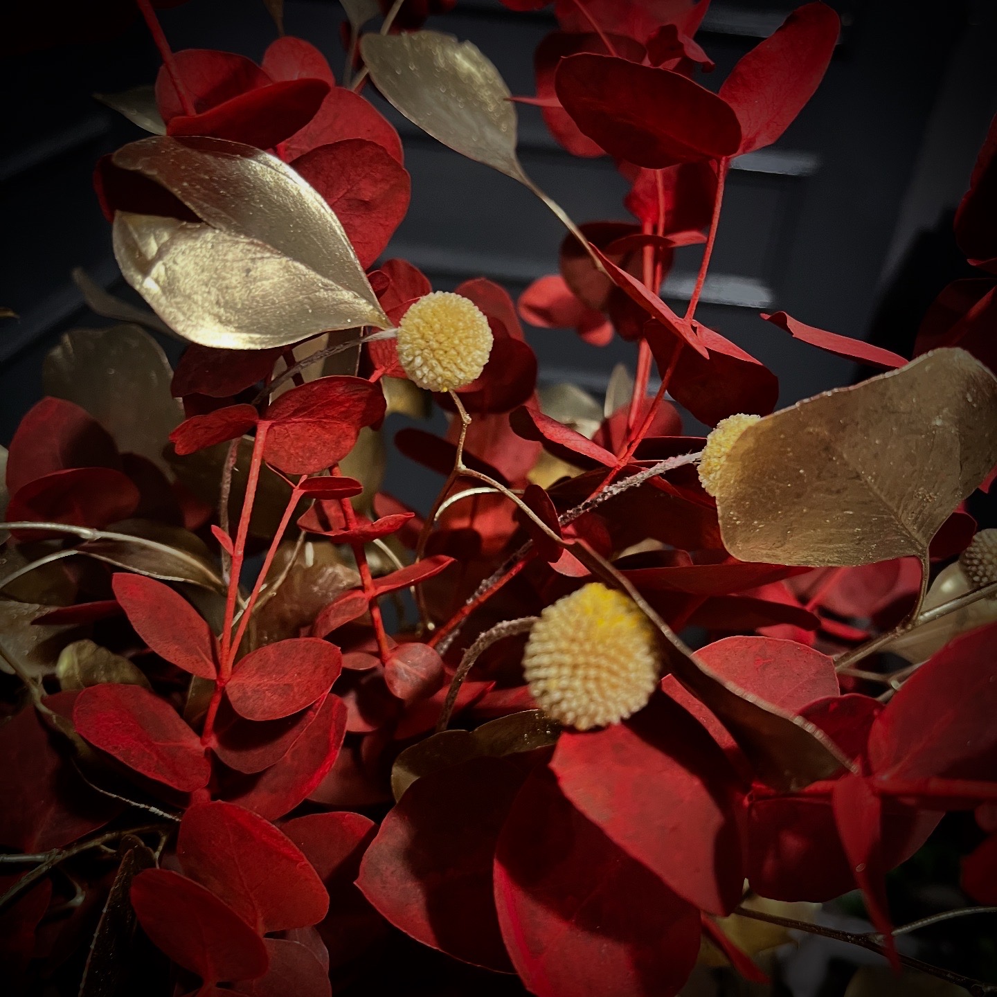 8b5a3c3a 041b 415e b140 04ed2b13bcc6