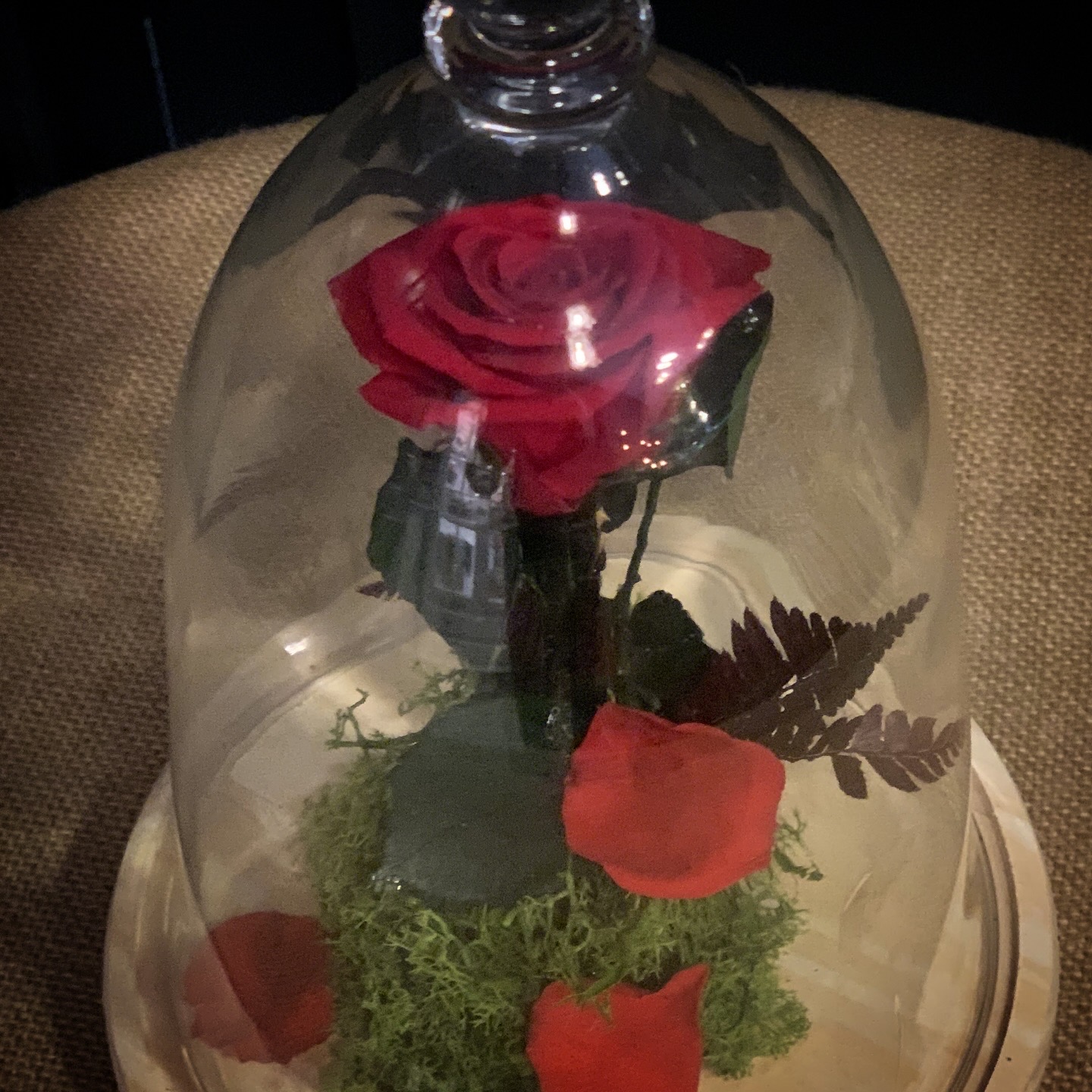 34241114 42c2 4e95 b964 529cb6f5c9b2