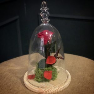 548d9ac2 cd44 4cfa 8245 c371fa3eeb14