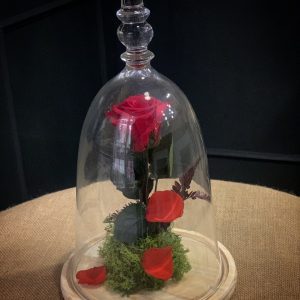 b0d73ef2 3223 4387 bb71 fd6ca1636e28