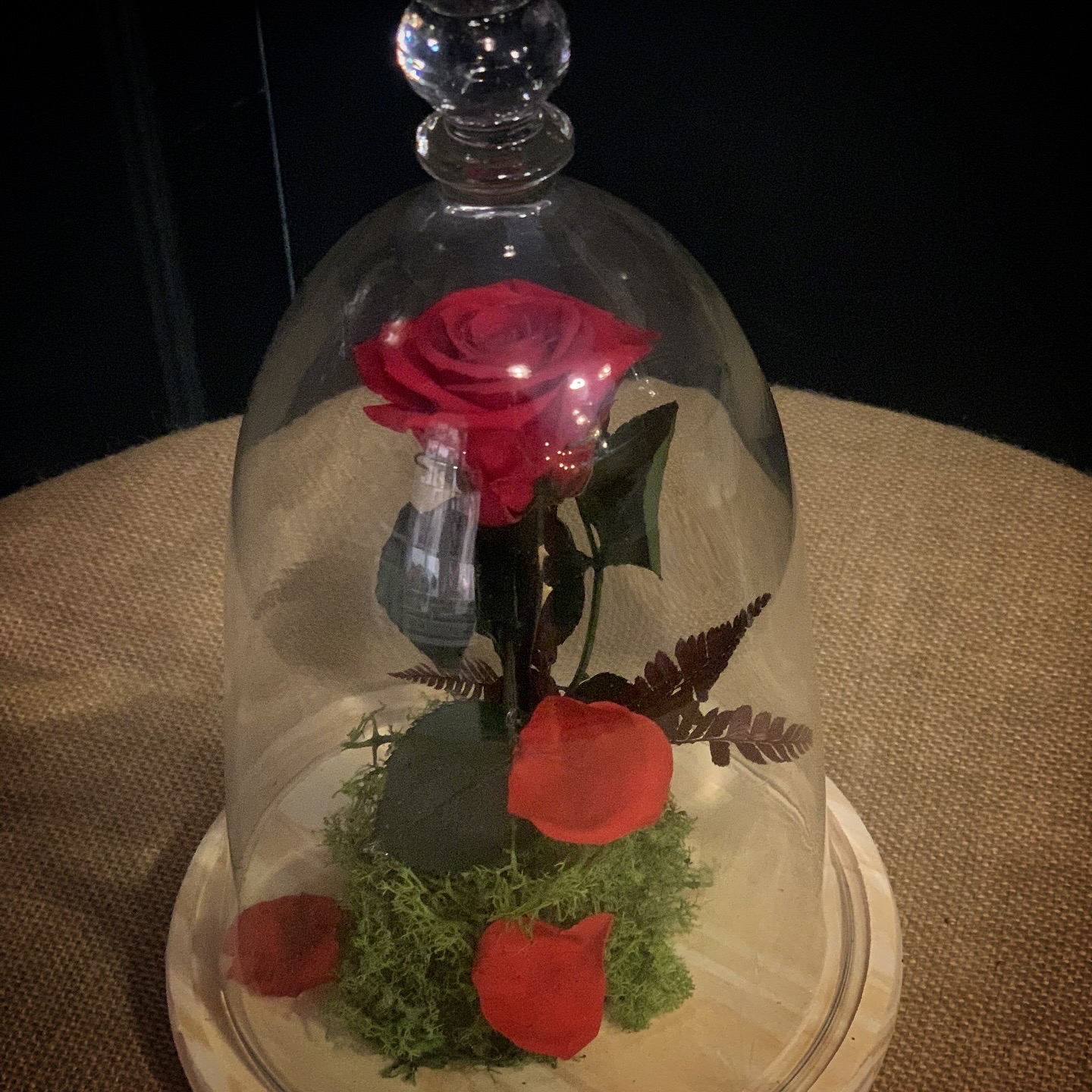 f93ff1eb 61d3 4fd5 b9c2 4656380b797d