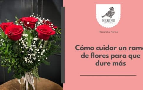 Cómo cuidar un ramo de flores para que dure más