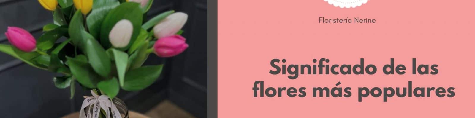 Significado de las flores más populares
