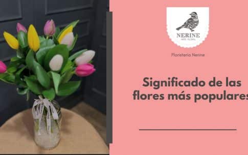 Significado de las flores más populares