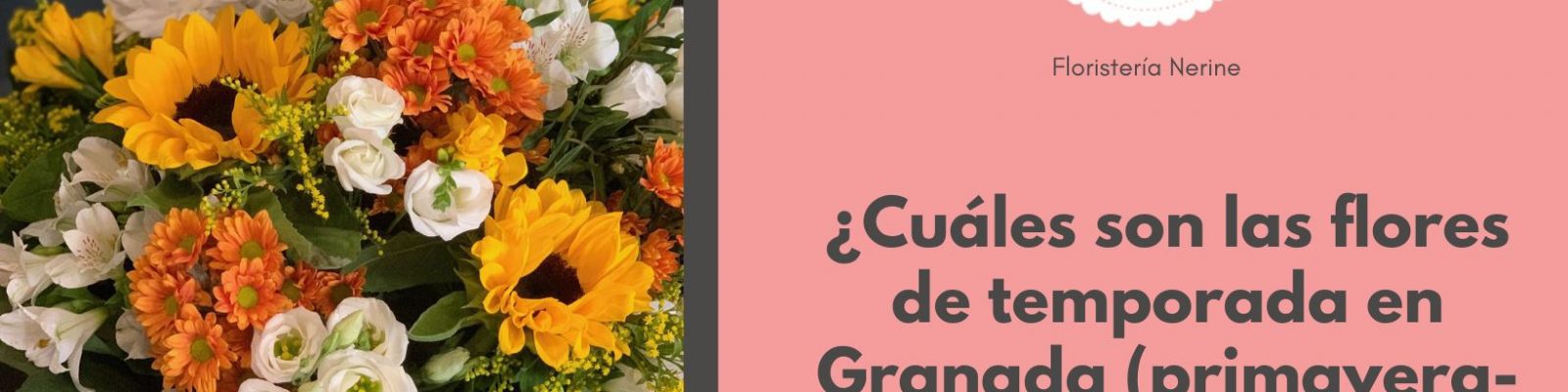 Cuáles son las flores de temporada en Granada (primavera verano)