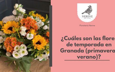 Cuáles son las flores de temporada en Granada (primavera verano)