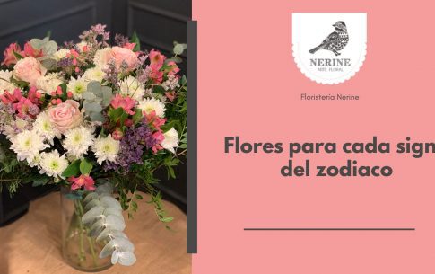 Flores para cada signo del zodiaco