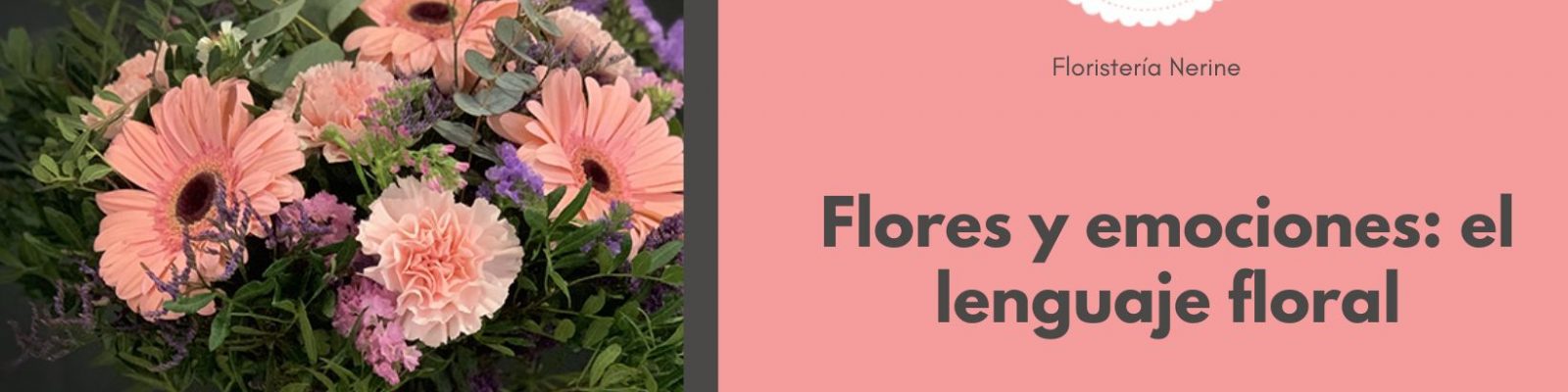 Flores y emociones el lenguaje floral