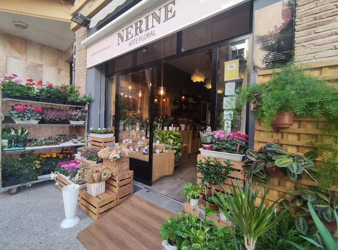 Floristería abierta hoy