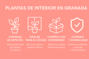 comprarr planta indetrior grranada
