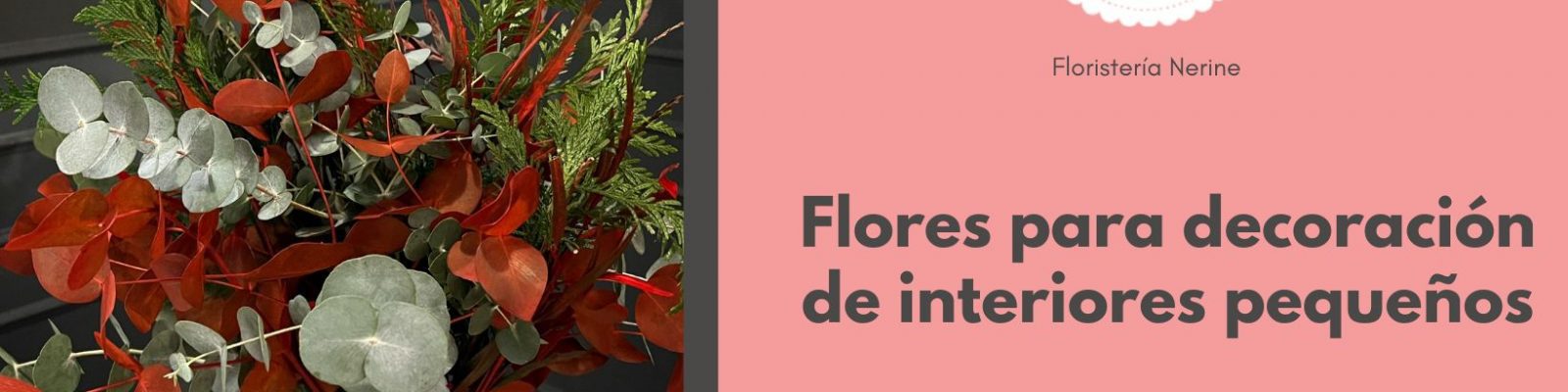 Flores para decoración de interiores pequeños