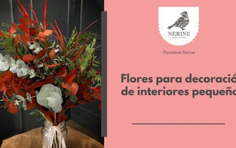 Flores para decoración de interiores pequeños