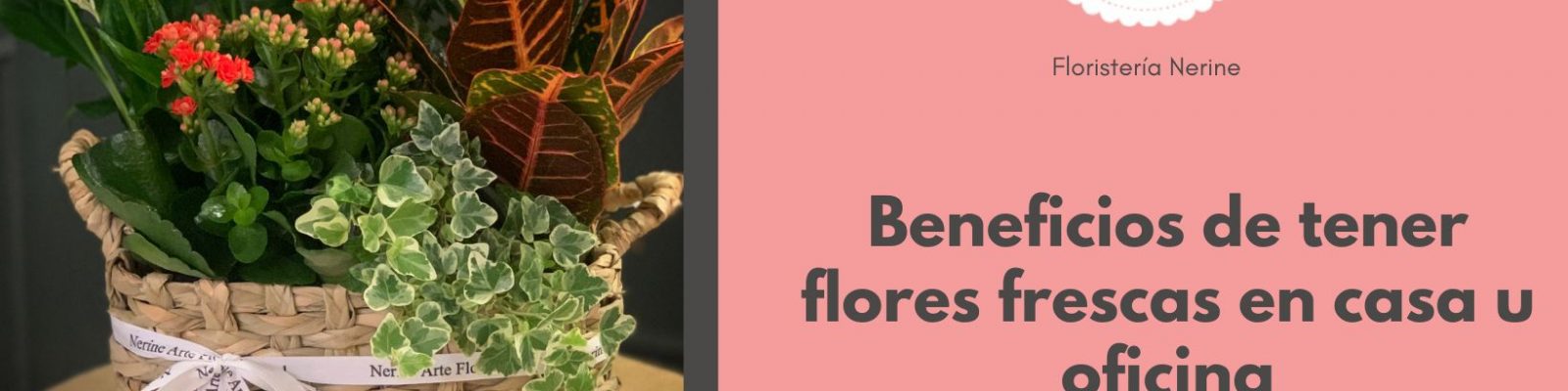 Beneficios de tener flores frescas en casa u oficina