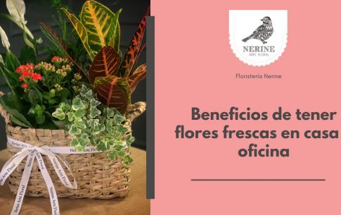 Beneficios de tener flores frescas en casa u oficina