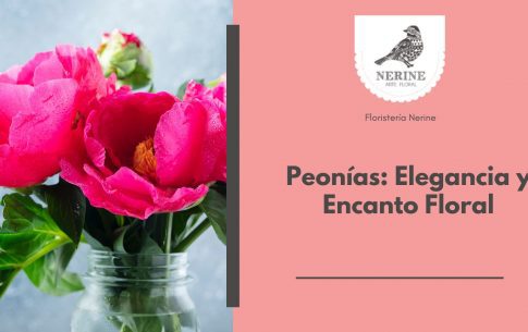 Peonías Elegancia y Encanto Floral
