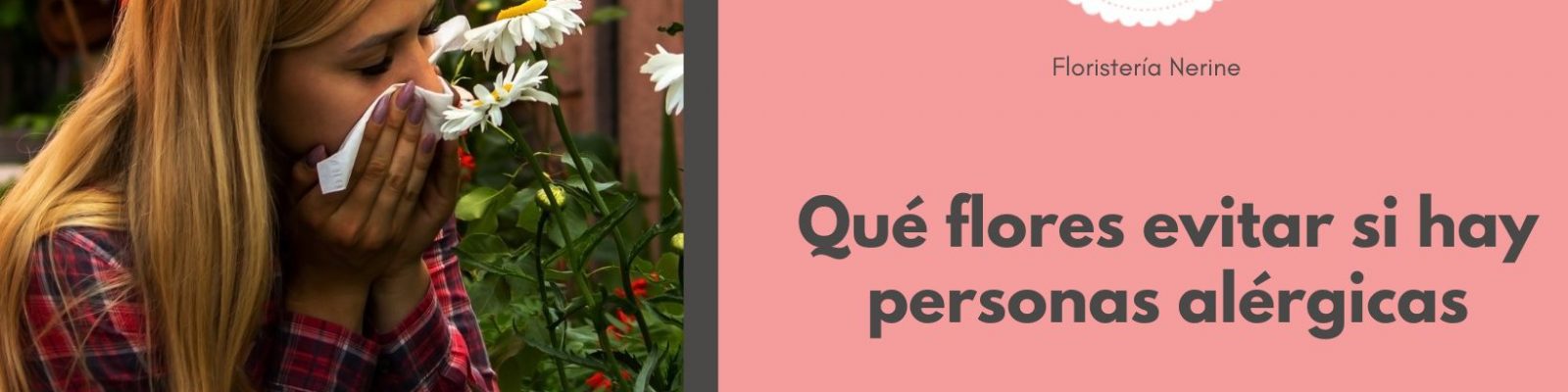 Qué flores evitar si hay personas alérgicas