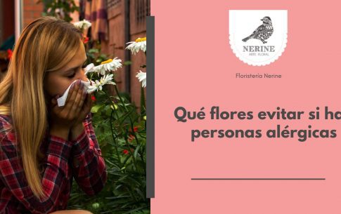 Qué flores evitar si hay personas alérgicas