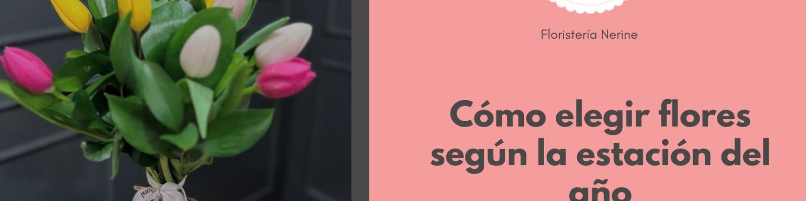Cómo elegir flores según la estación del año