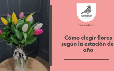Cómo elegir flores según la estación del año