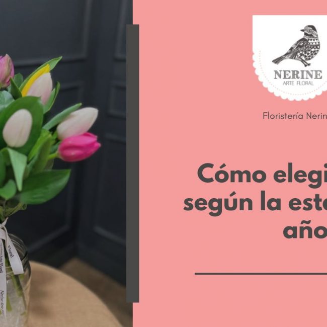 Cómo elegir flores según la estación del año