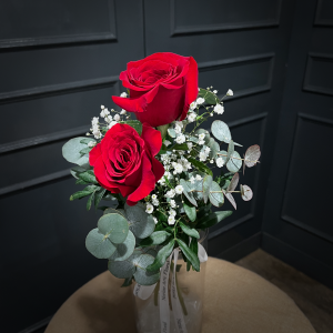 PLANTILLA FOTOS WEB1