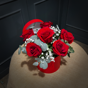 PLANTILLA FOTOS WEB1