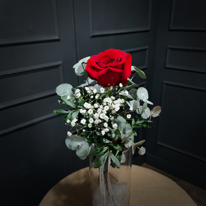 PLANTILLA FOTOS WEB1