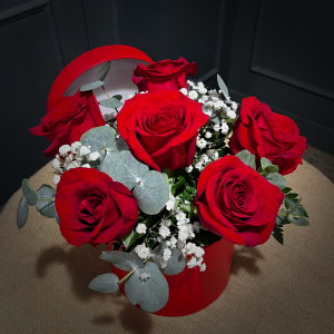 PLANTILLA FOTOS WEB3